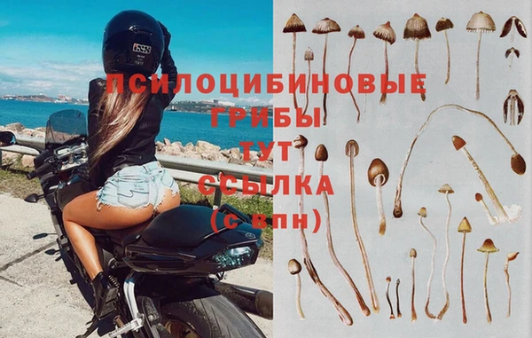 каннабис Абдулино